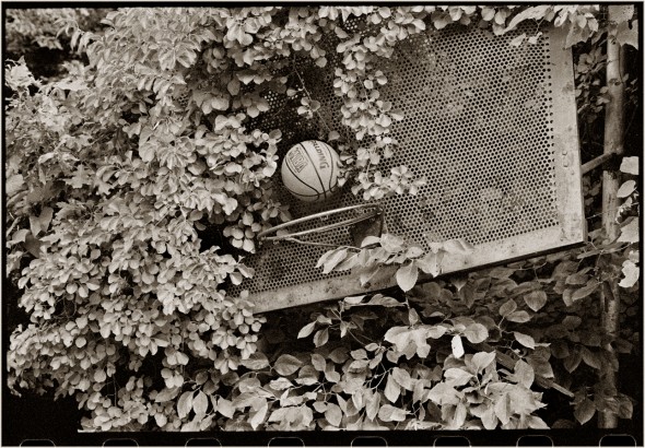 Ancient Basketball Hoop Mt. Sinai N.Y. 1988