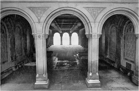 central-park-bethesda