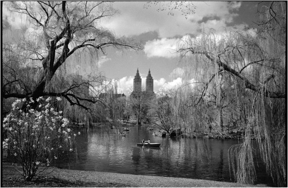 Central-park-lake-rowboat