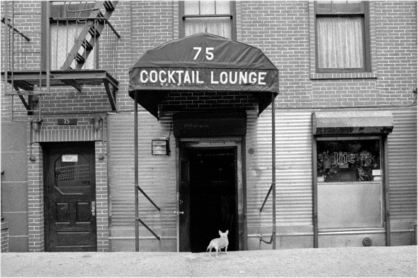 holiday-cocktail-lounge