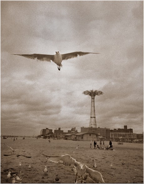 coney-island-parachute-jump