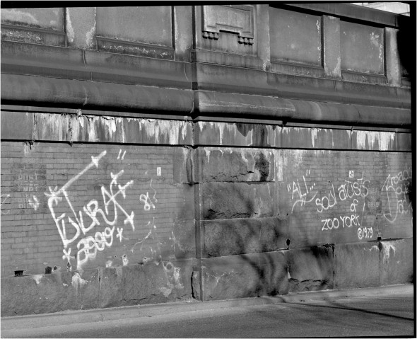 Futura-2000-ALI-SA-ZooYork-1986 copy