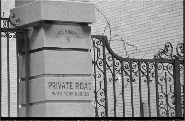 Harlem walk horses sign