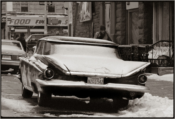harlem-winter-tailfins-matt-weber