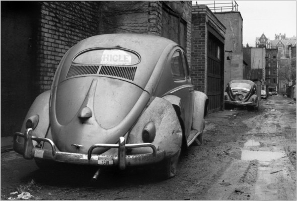 volkswagon harlem
