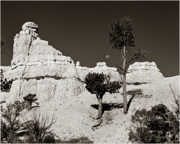 moon and redrock canyon