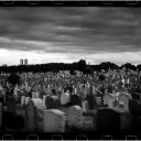 8,000,000 Stories in the Naked City 1985