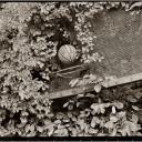 Ancient Basketball Hoop Mt. Sinai N.Y. 1988