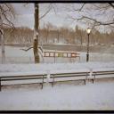 Central Park Dawn  2013