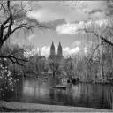 Central Park Rowboat 2012