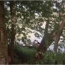 Hidden Love Central Park 2012