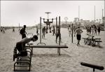 "Muscle Beach" 2011