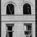 "A Tree Grows in Harlem" 1985