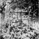 Monkey Bars 1996 (Infra-Red)