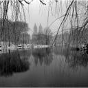 San Remo Willow 1997