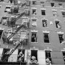 "Stuffed Animals" East Harlem 1988