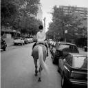 The Last Horsewoman 2005