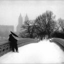 Bow Bridge Central Park