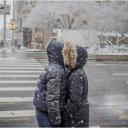 Snow Birds Kissing 2018